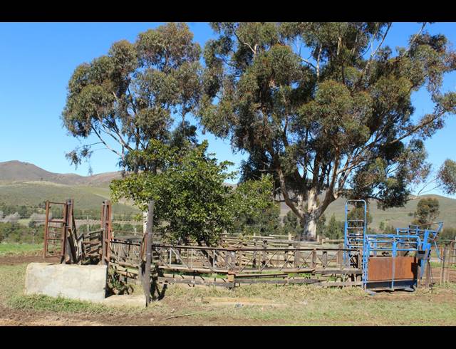 118HA FARM FOR SALE IN GREYTON